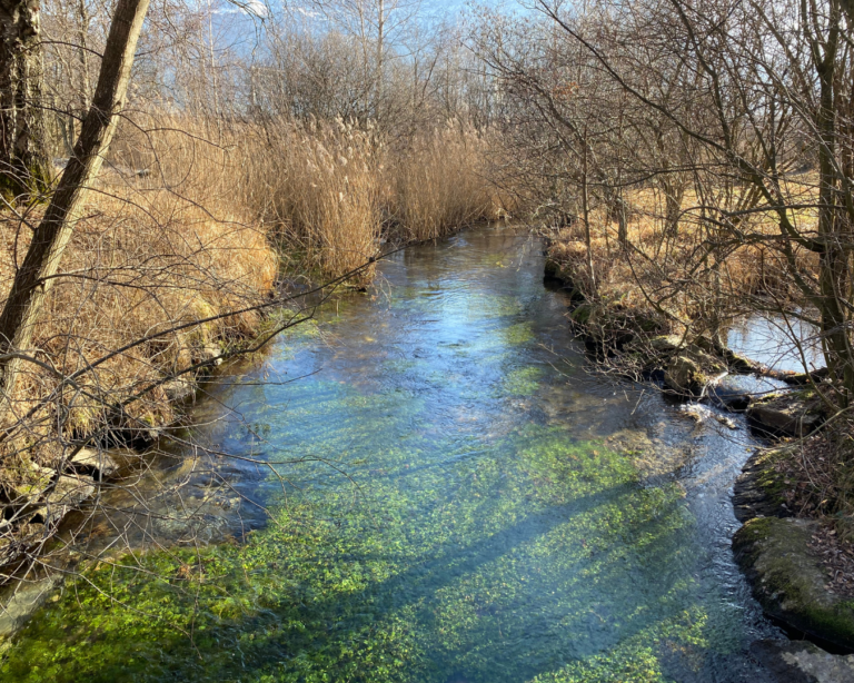 Home wasser