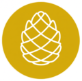 logo pinienzapfen weiss